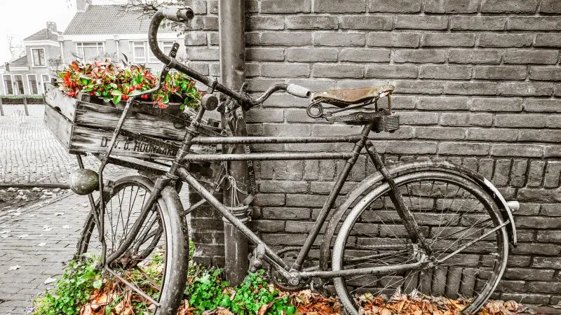 Willem Visser exposeert zelf
