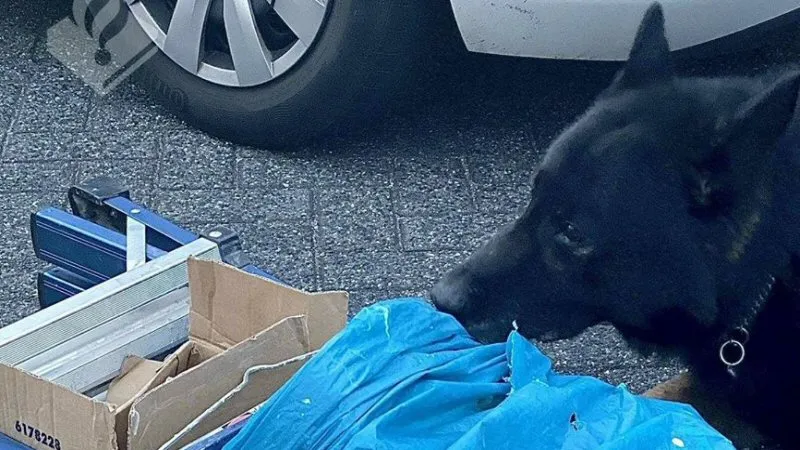 Man steelt verfspullen van terrein basisschool