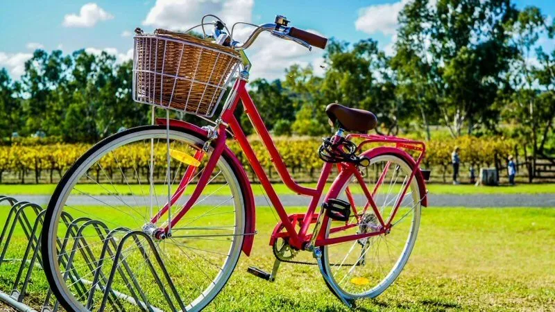 ‘De Zijpe’ verzorgt kant-en-klare fietstochten